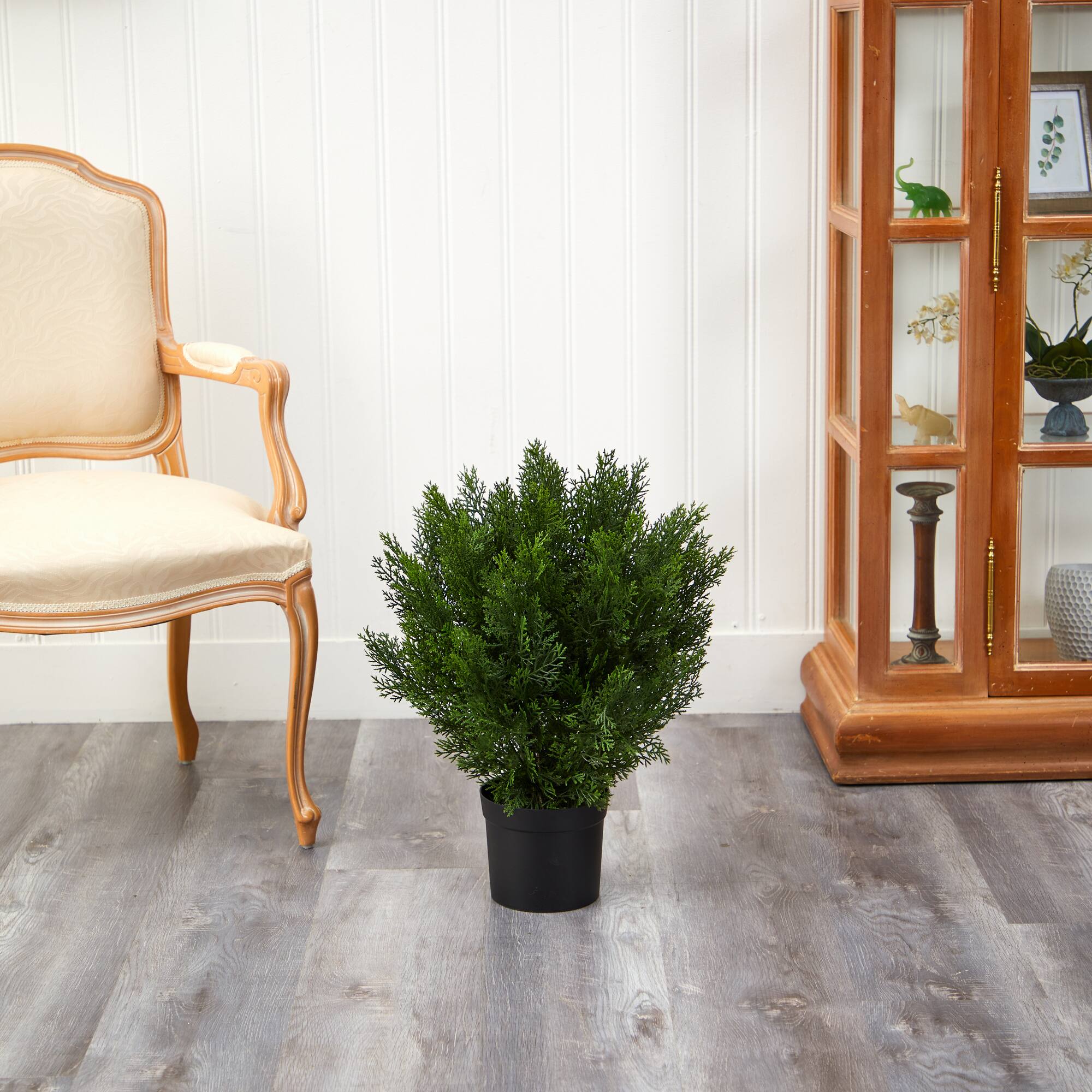 2ft. Potted Cedar Bush